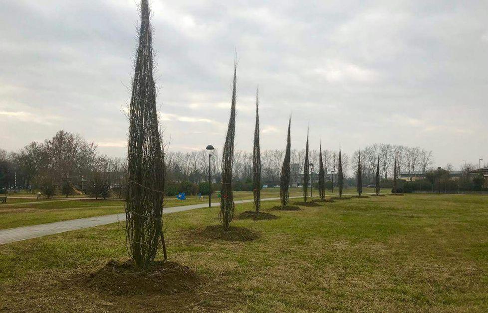 Guastalla censisce il verde Un patrimonio da oltre 5 milioni 