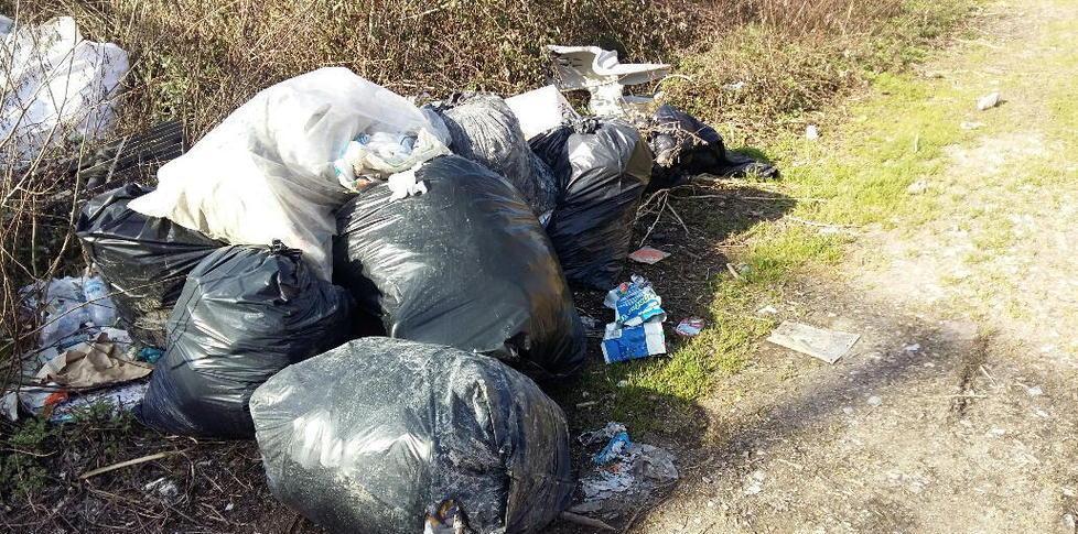 Rifiuti lungo il fiume la municipale cerca i colpevoli 