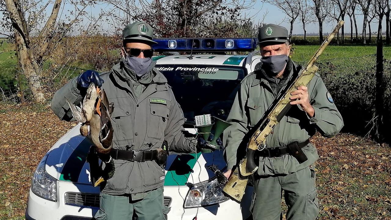 Comacchio. Richiami acustici proibiti, denunciati due cacciatori