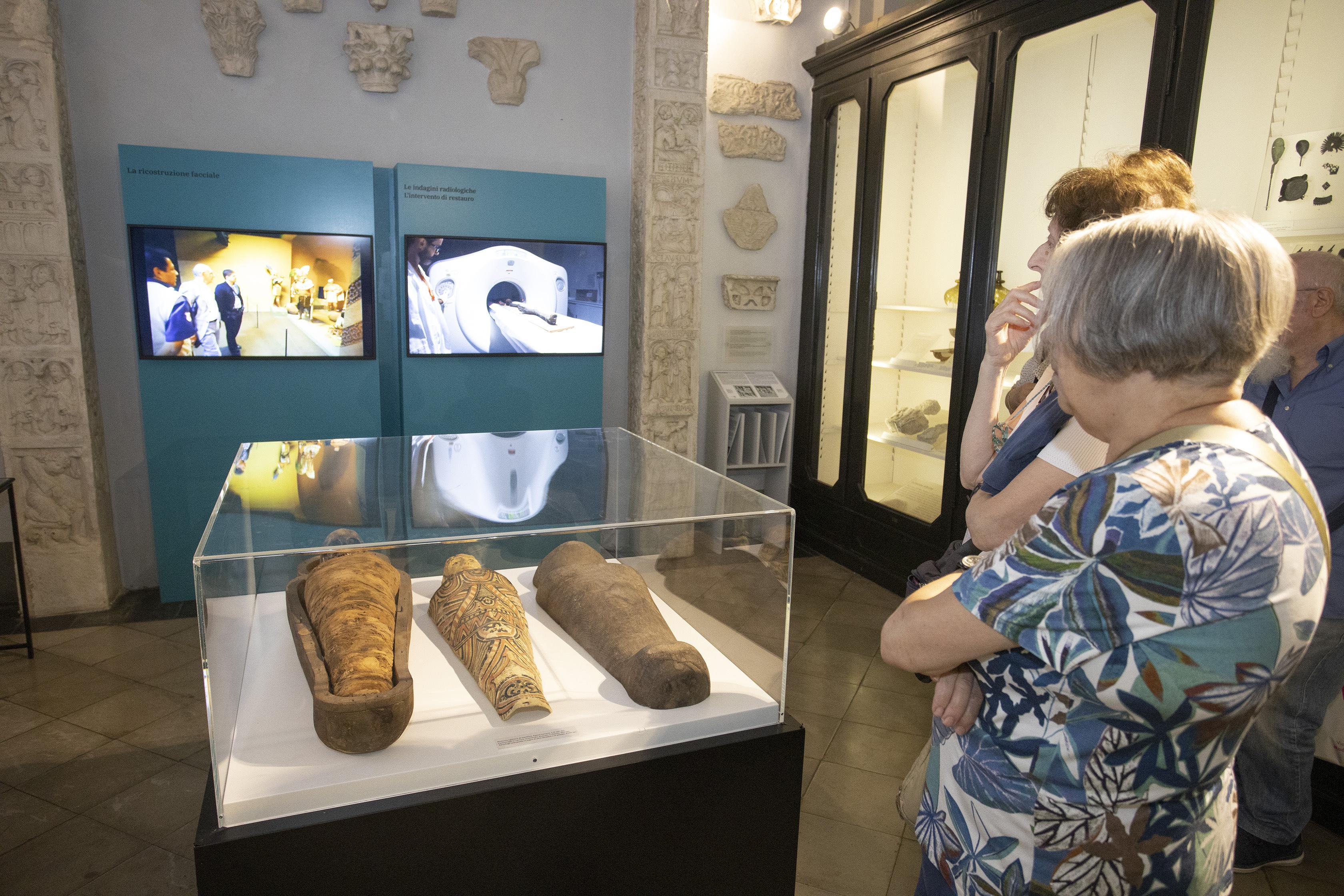 Museo civico di Modena, un volto nuovo per conservare meglio la memoria della città 