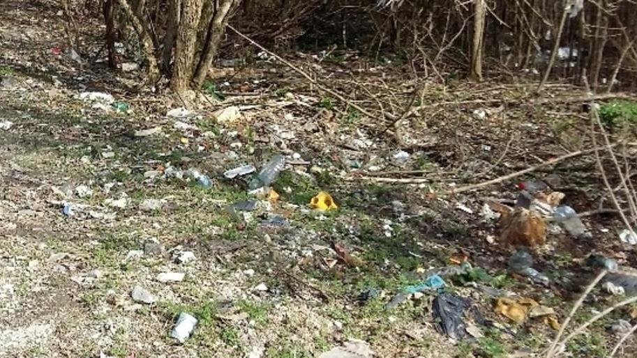Il boschetto come discarica