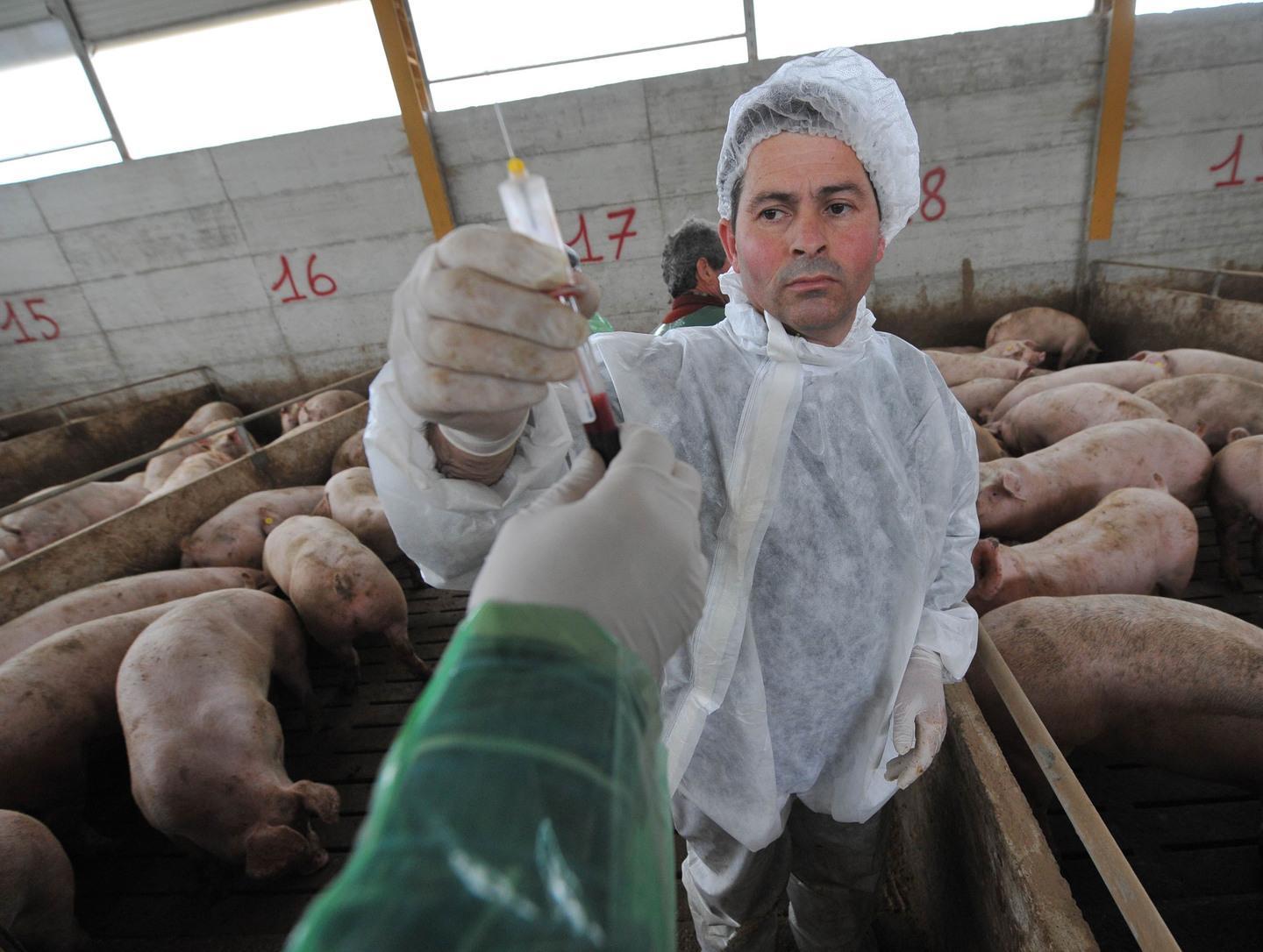 L’amarezza dei sindaci: «Vanificati anni di lavoro» 