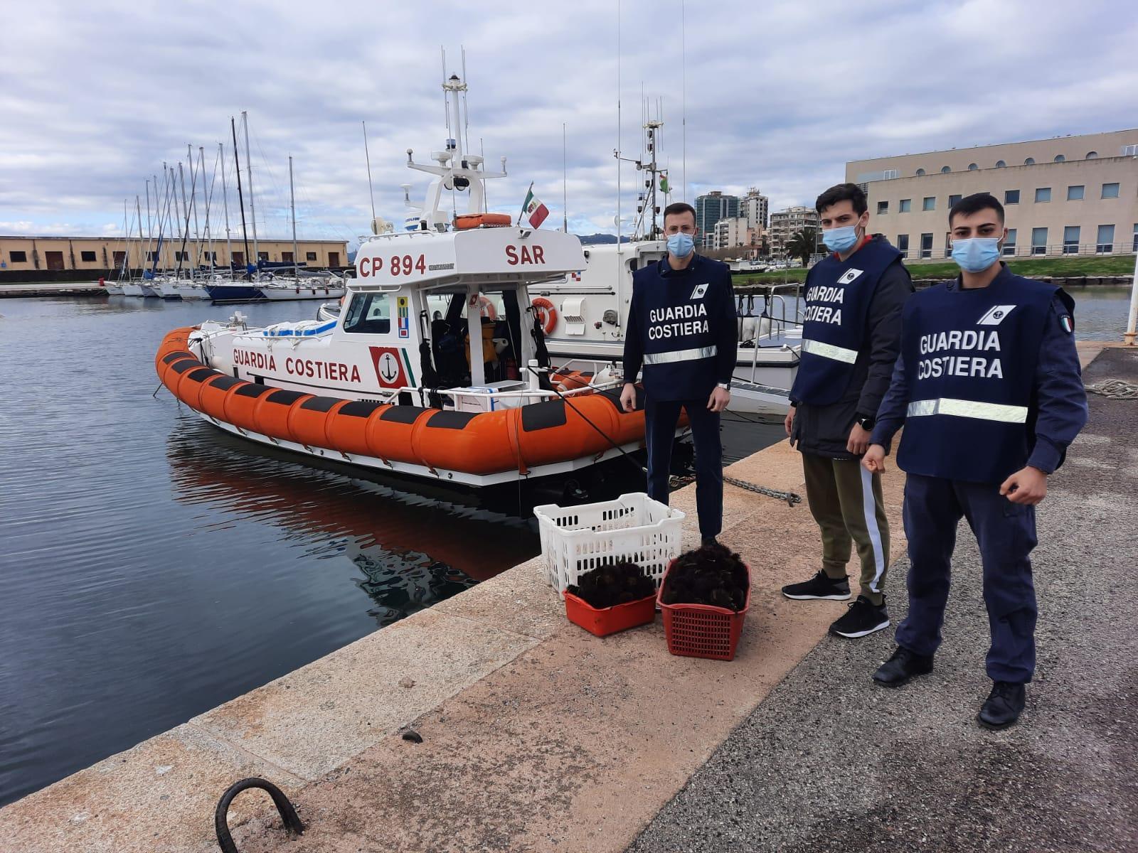 Olbia, pescatore di frodo sanzionato: il bottino di 500 ricci reimmesso in mare 