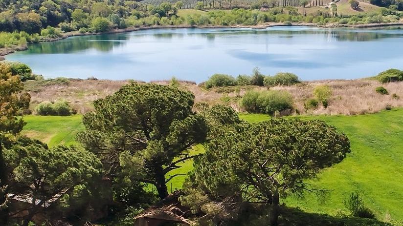 Su e giù per la città con la bici a noleggio Tre soci e una passione per il turismo verde
