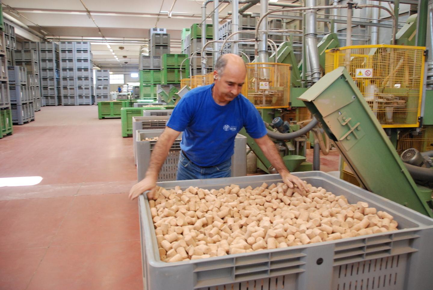 Rilancio del sughero, l’Università c’è 