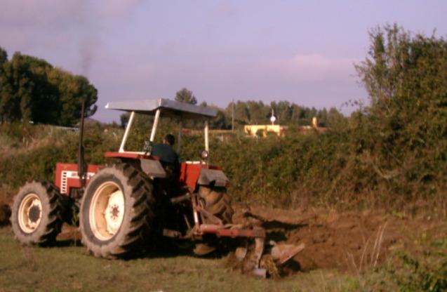 «Se i campi non sono arati torneranno le cavallette» 