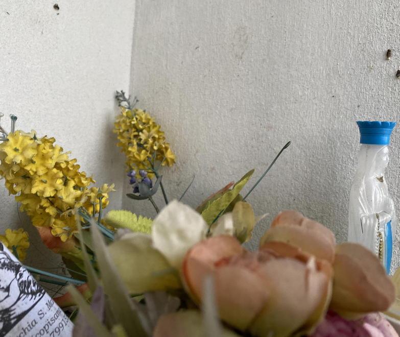 Raid vandalico contro un’edicola sacra e i cartelli stradali lungo la via Butese