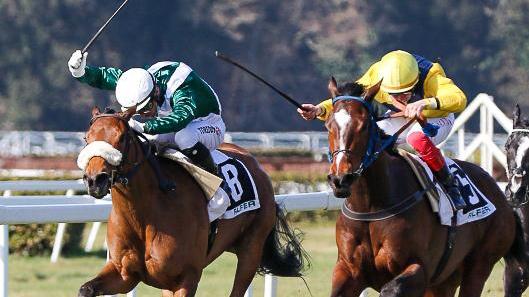 San Rossore, brilla Lucirex nel premio Walter Wright