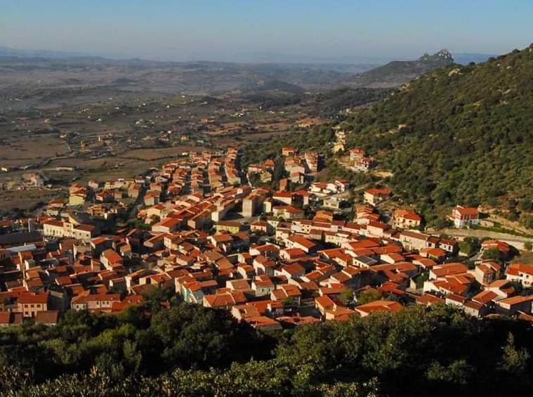 Patrimonio boschivo sette nuovi operai assunti a Berchidda 