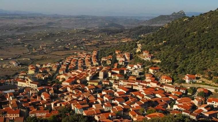 Patrimonio boschivo sette nuovi operai assunti a Berchidda