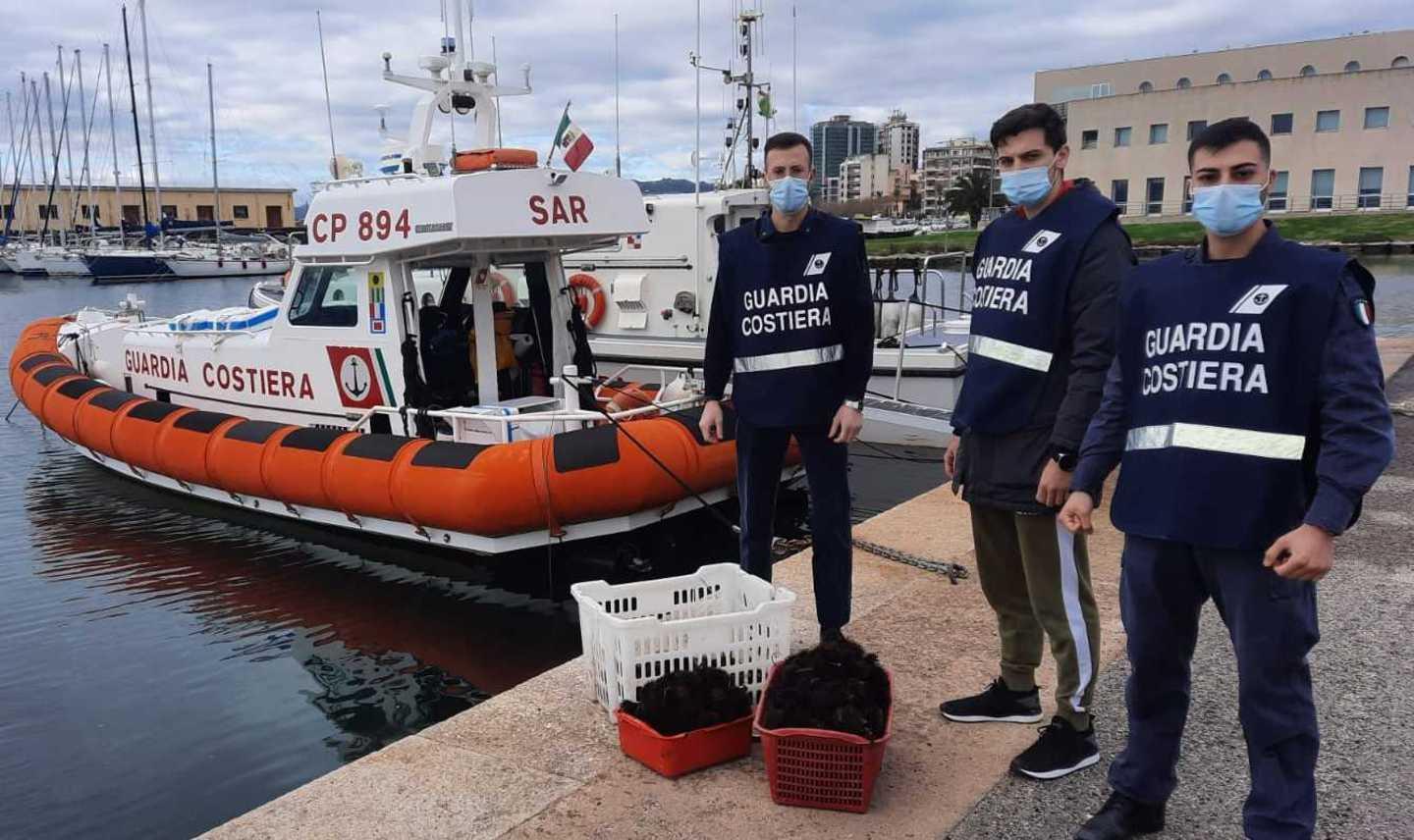 Pesca abusivamente 500 ricci di mare: la Capitaneria lo multa 