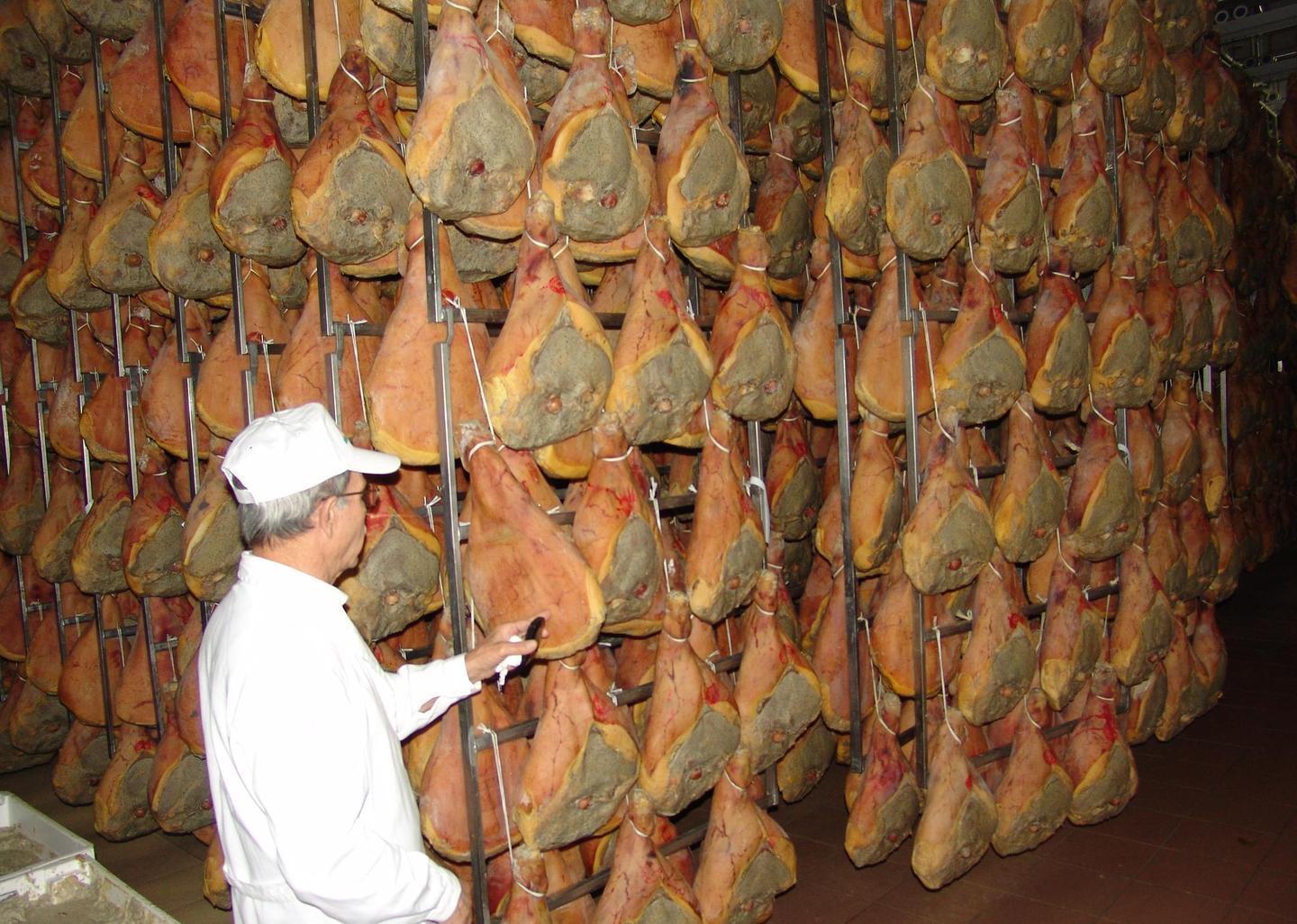 L’esperto: un mercato dalle enormi potenzialità 