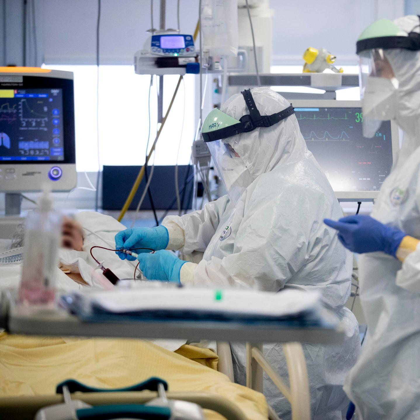 Sos variante inglese allarme in Gallura 