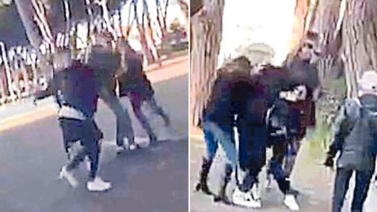 Dalla Versilia fino a Marina di Carrara per fare a botte in pineta