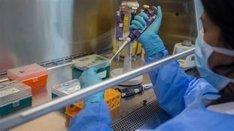 Covid alla Maddalena, nomi e cognomi dei positivi sul sito del Comune 