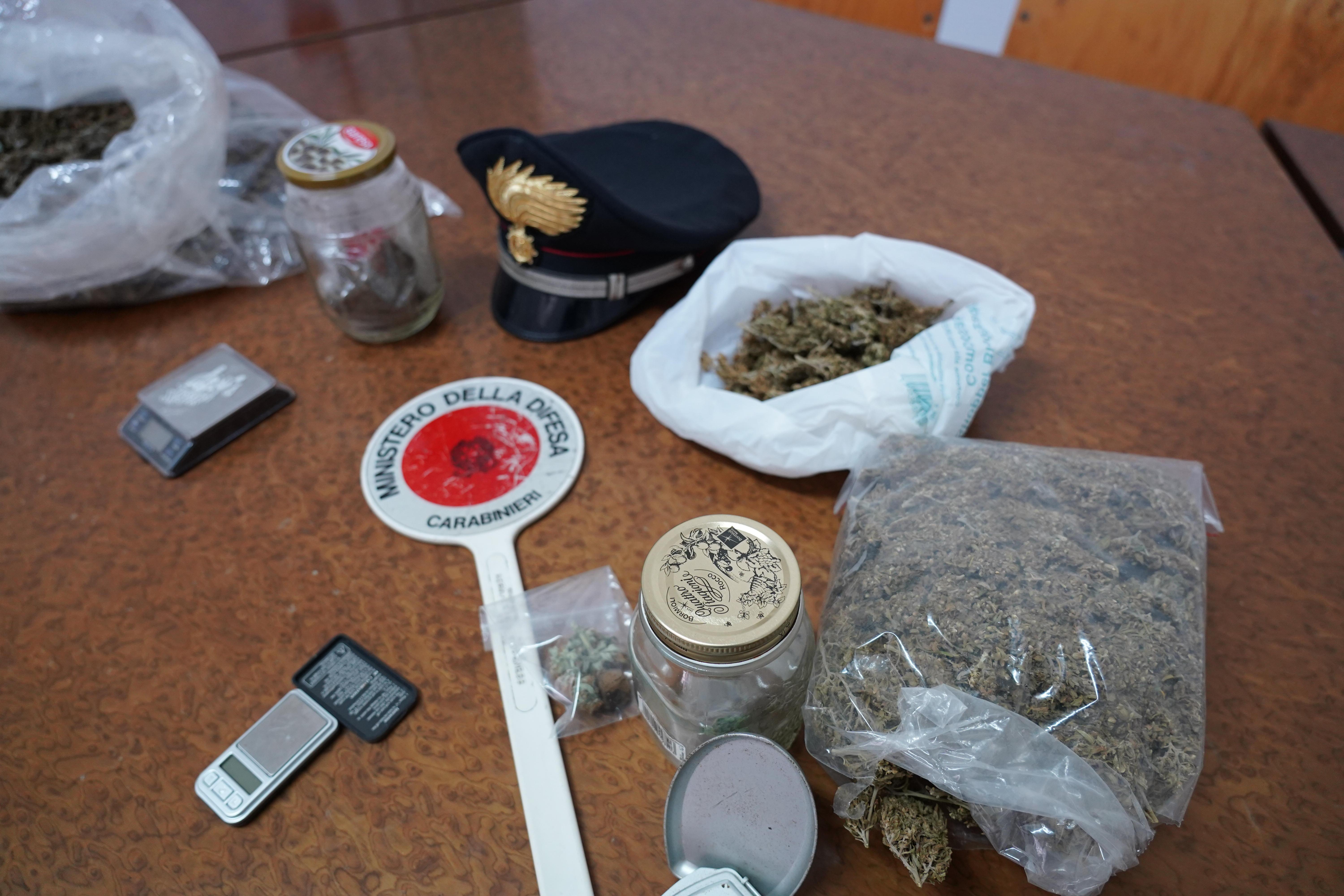 La marijuana sequestrata a Fauglia