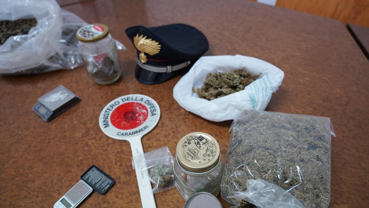 La marijuana sequestrata a Fauglia