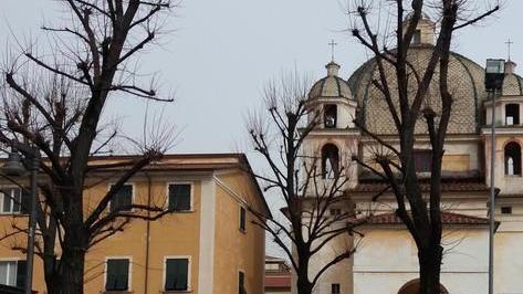 Il caso dei tigli di piazza Garibaldi: dubbi dell’ing. Milani
