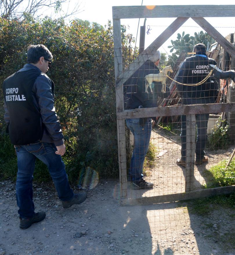 Niente più case accanto ai box e ai fienili, ma la decisione finale sarà della Regione