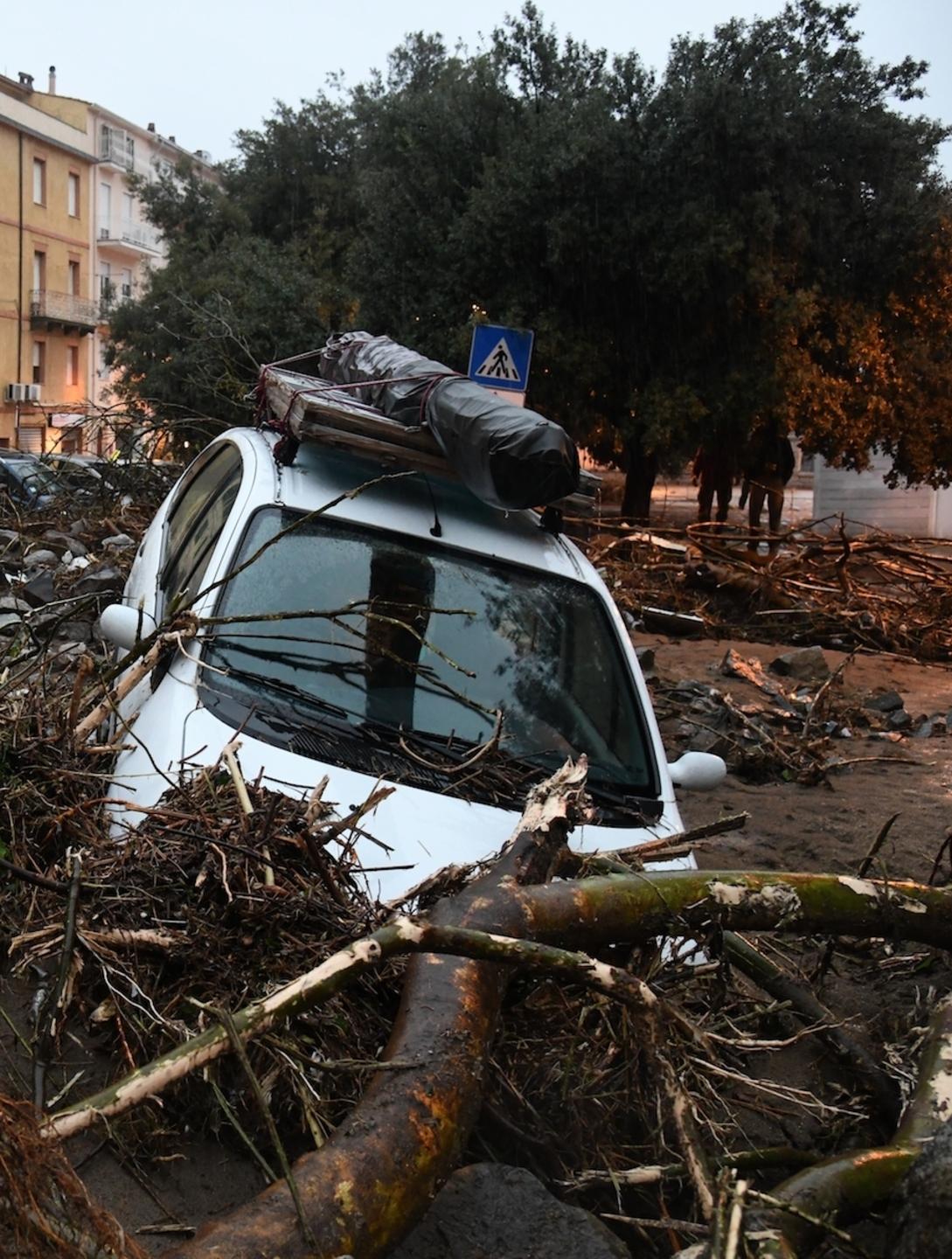 Bitti, domande per l’assegnazione del legnatico