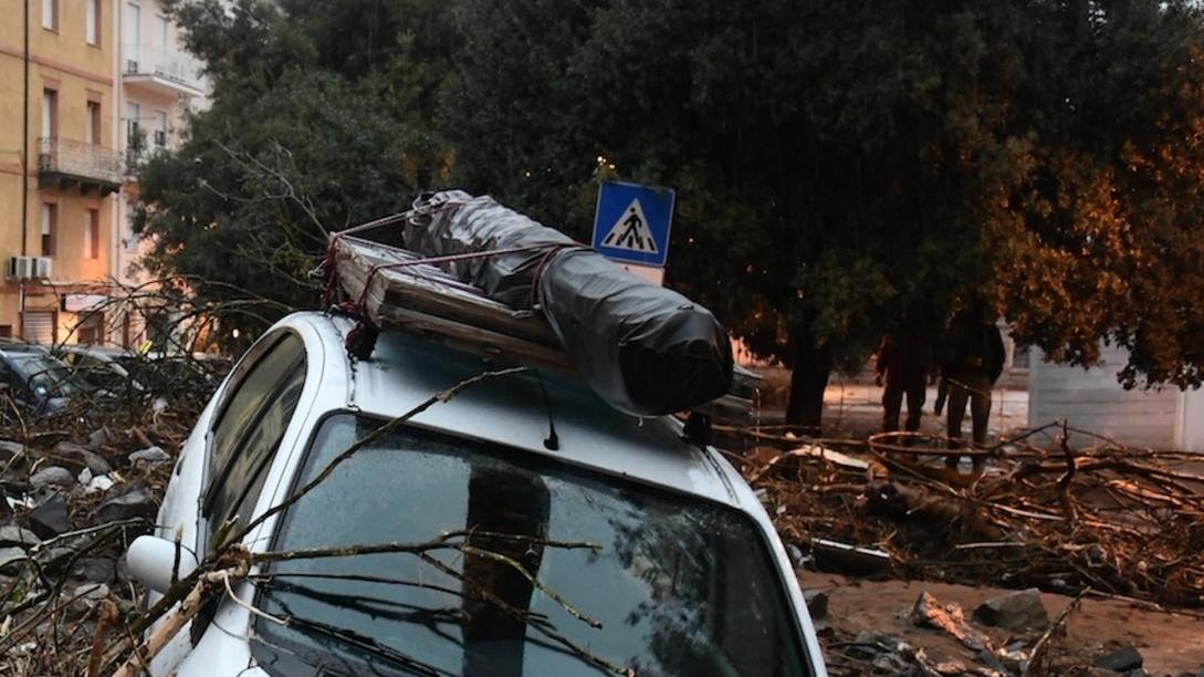 Bitti, domande per l’assegnazione del legnatico