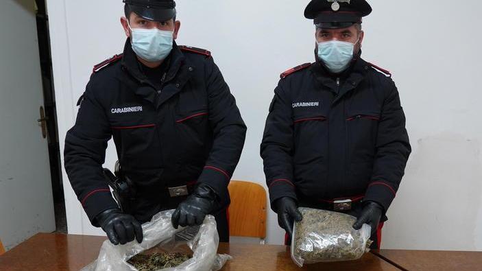 Vendono la marijuana sul web Arrestata una coppia a Fauglia