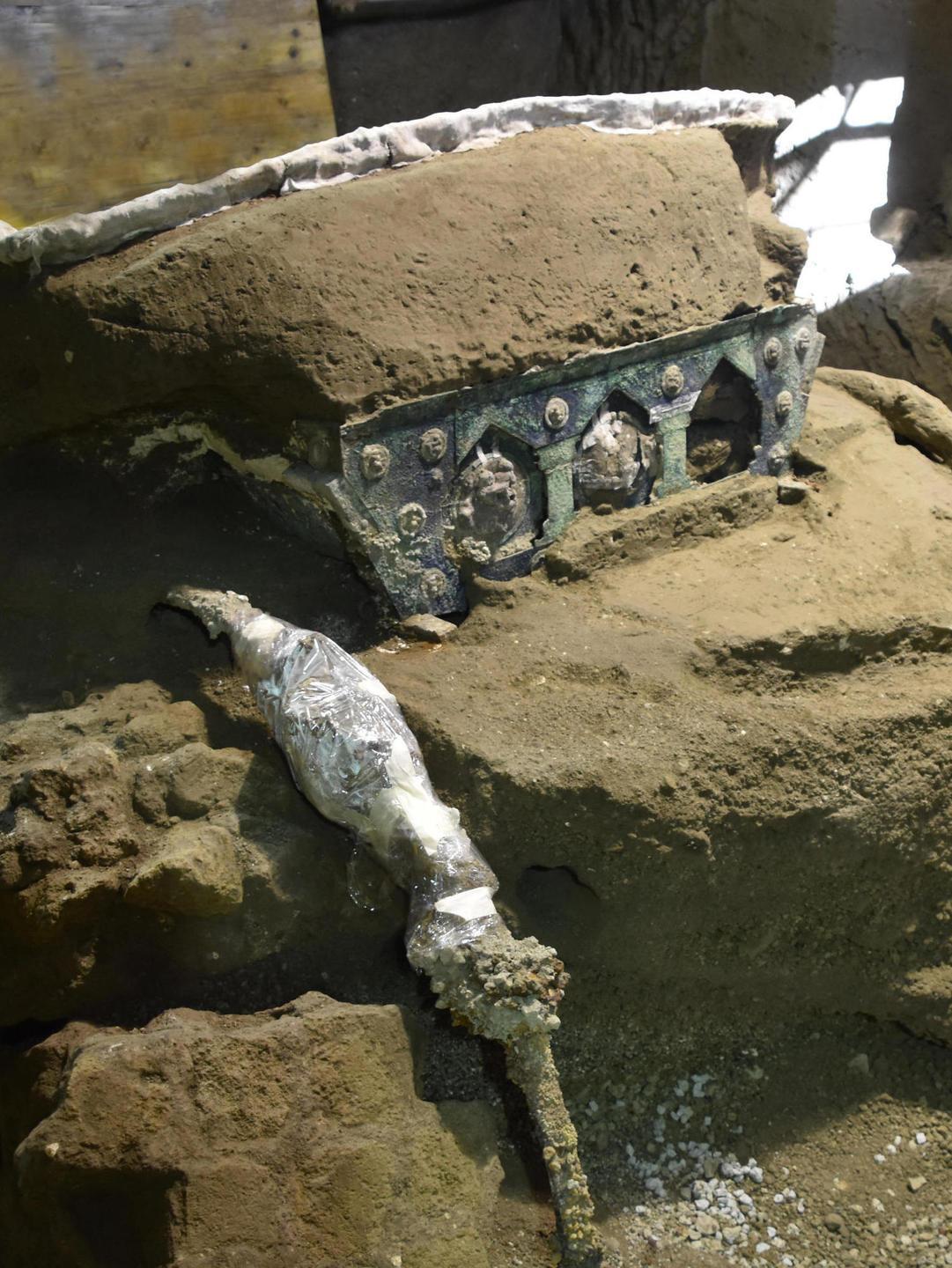 Da Pompei emerge uno splendido carro per le cerimonie