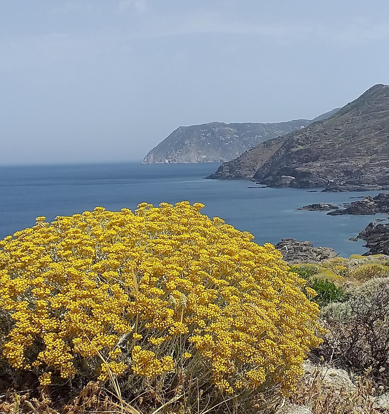 Il Parco 7 anni senza presidente Piras: «La Regione intervenga»