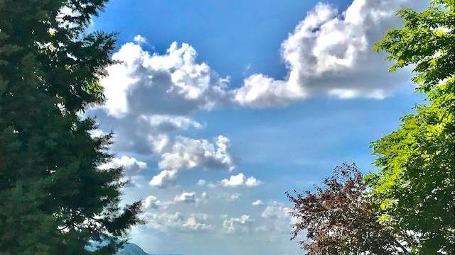 Emergenza ambientale e questione climatica al centro degli appuntamenti “green” della Luc