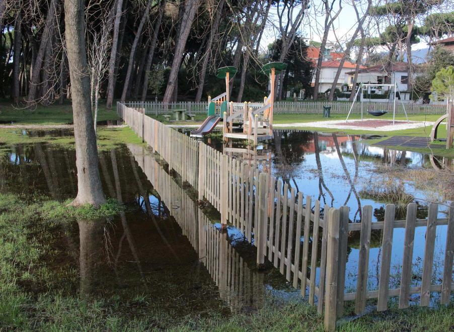 Ordinanza di chiusura anche ai pedoni per la pineta di via Zara