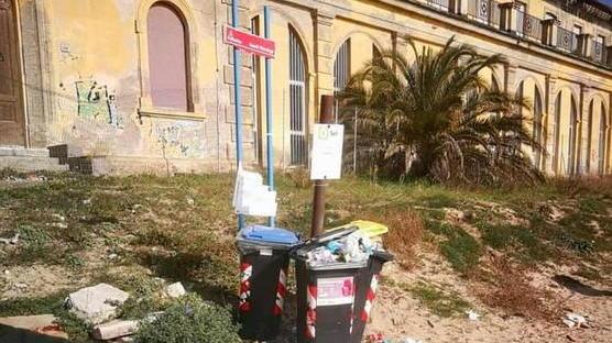 Camminare? Sì, ma anche pulire L’idea “eco” di Michela e i suoi amici
