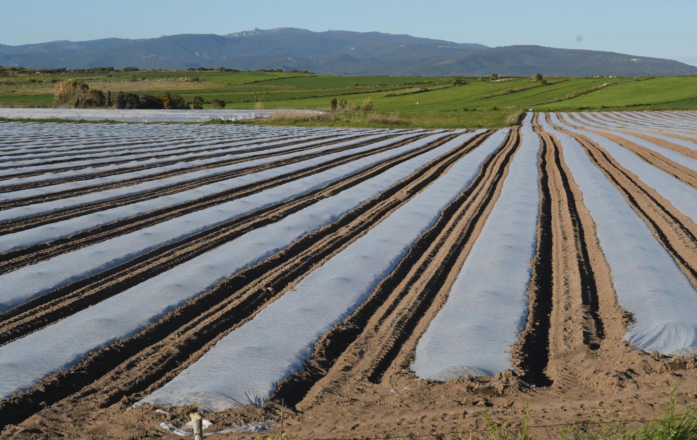 Consorzi di bonifica, precari da assumere 
