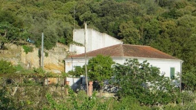 Tra “city farm”, animali e laghetti