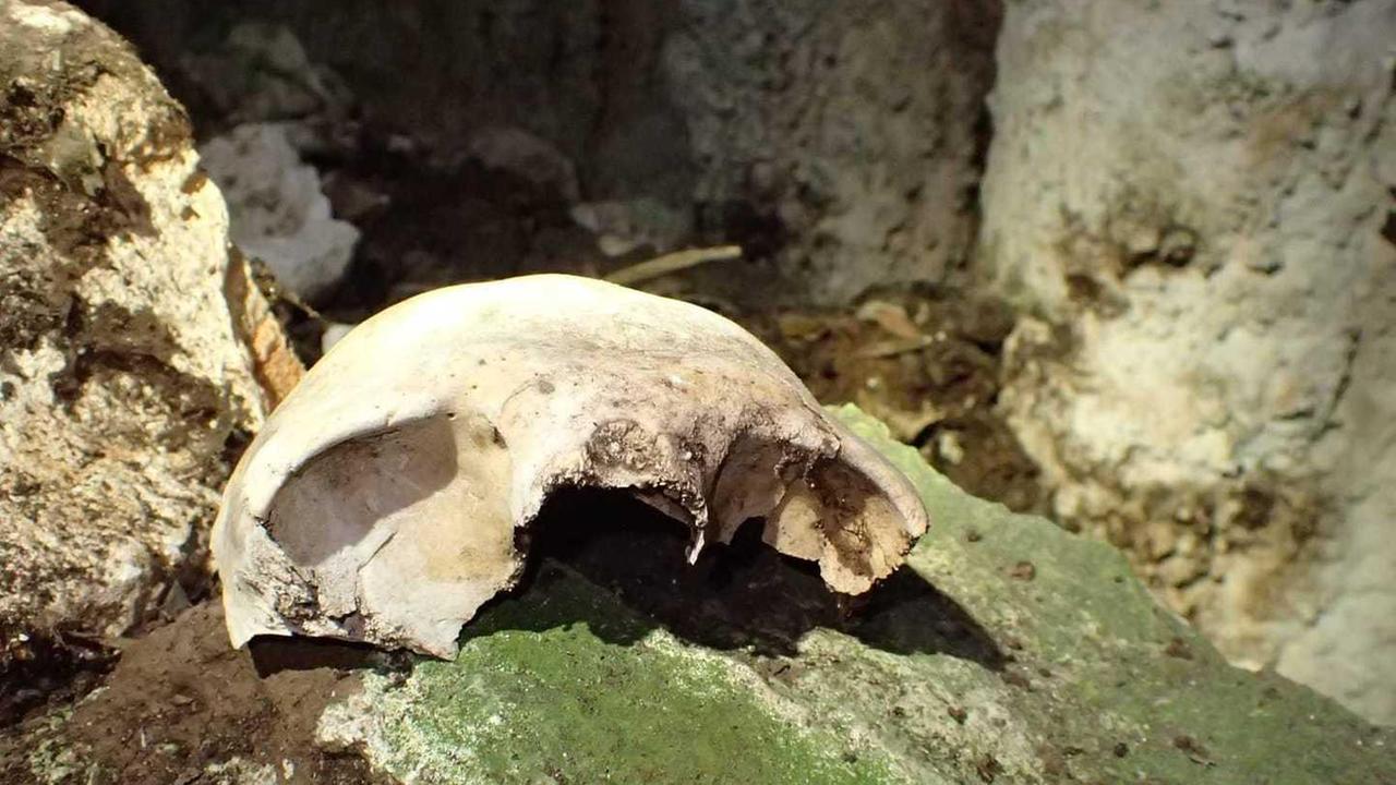 Trovati resti umani in una piccola grotta 