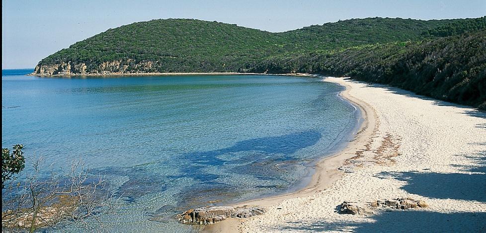 Turisti nelle cale e lavori al Puntone «Travison spieghi»