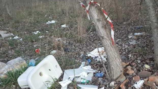 Rifiuti abbandonati La consulta: serve l’azione del sindaco e di Clara