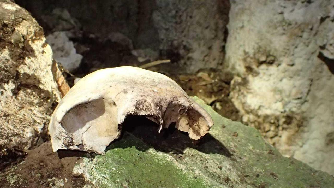 Dall’altopiano del Golgo riemergono altre ossa