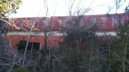 All’asta una villa ad Ansedonia e un ex ristorante all’Osa