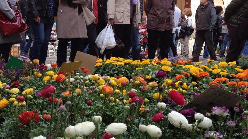 Annullata per Covid la festa dei fiori «Era tutto pronto»