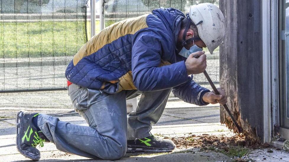 Per due baracchine davanti all’acquario spunta l’ipotesi del salvataggio