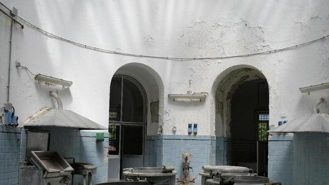 È tornata “Per Mano” incontri per conoscere il mondo del manicomio