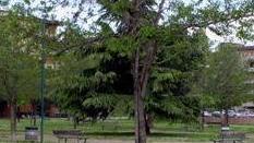 Bulli ai giardini di via Colombo: denunciati