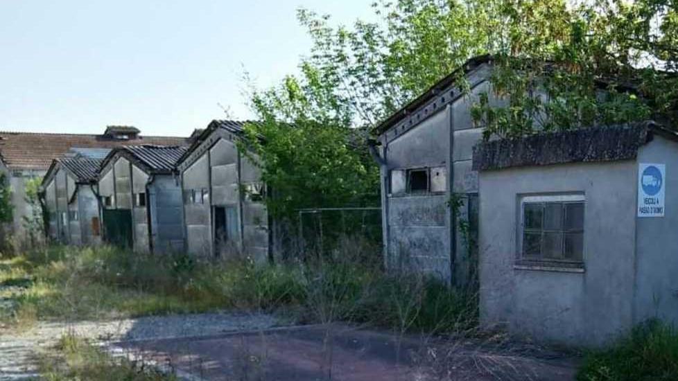 Pannelli in eternit nell’ex stalla Unipeg Slitta di altri tre anni la rimozione