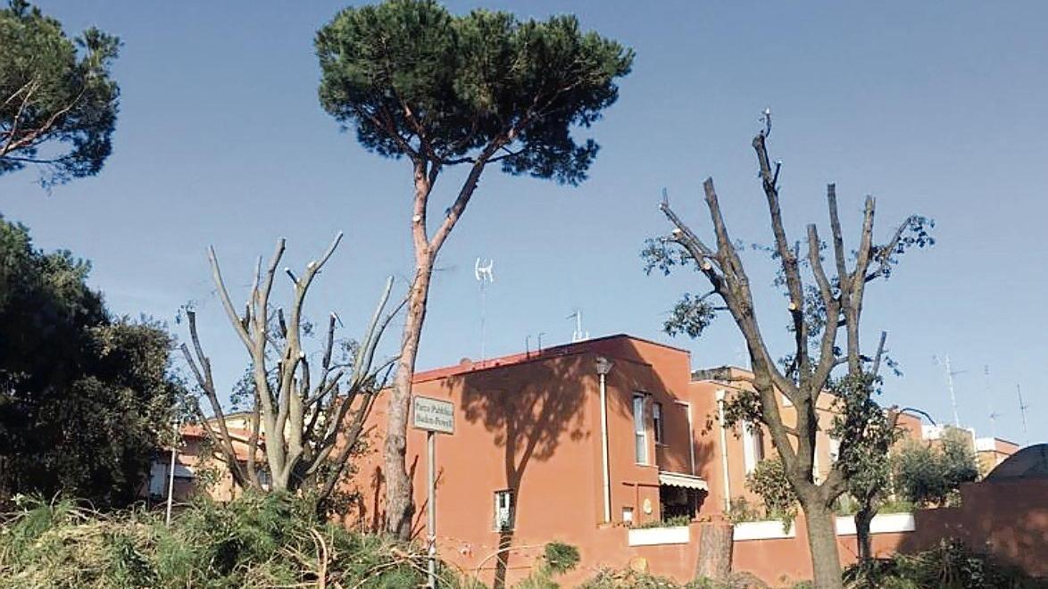 Abbattimenti e potature drastiche nel parco cresciuto in quarant'anni