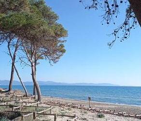 Rifiuti nel cuore della Sterpaia: ma è un deposito temporaneo