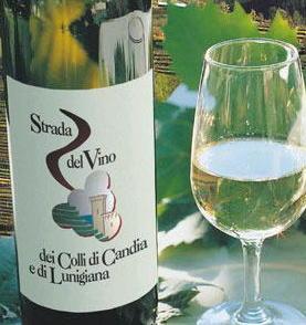 Trenta aziende sul portale delle “Strade del vino” 