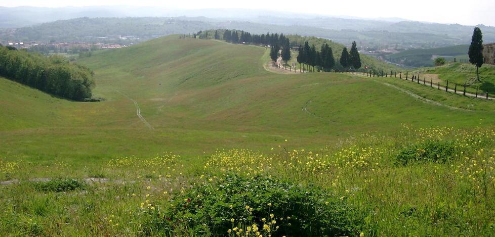 Aree attrezzate nei parchi urbani per praticare sport 