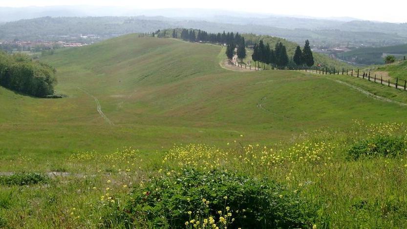 Aree attrezzate nei parchi urbani per praticare sport