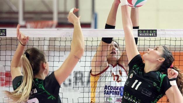 La Green Warriors va oggi all’assalto della capolista Megabox Vallefoglia