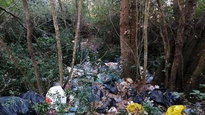 Una discarica nel parco «Eppure Montioni è il paradiso dei turisti»